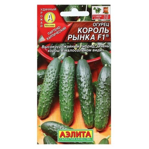 ���� ��������� ������ ������ ������ 