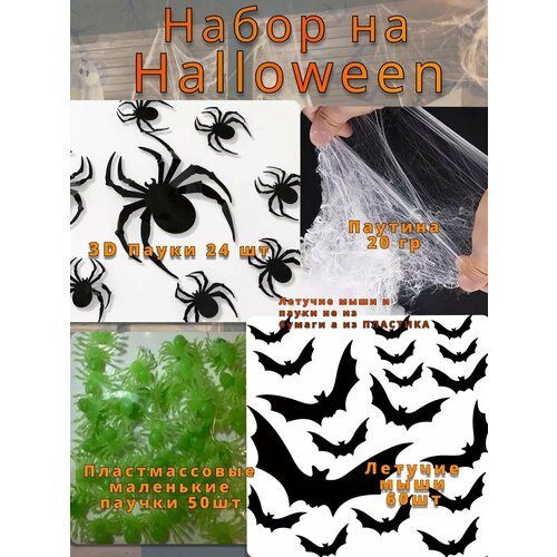 ���� ����� �� ��������