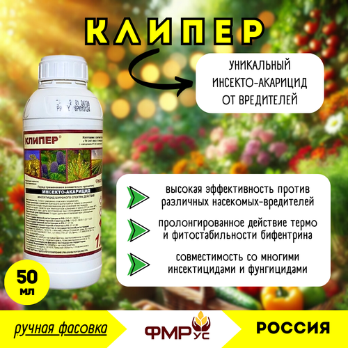 ���� ������, ��, �������� (�����), 50�� (������ �������) - �� ��������