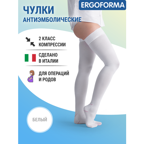 ���� ����� �������������� Ergoforma 2 ����� ����������, ������ 5, �����