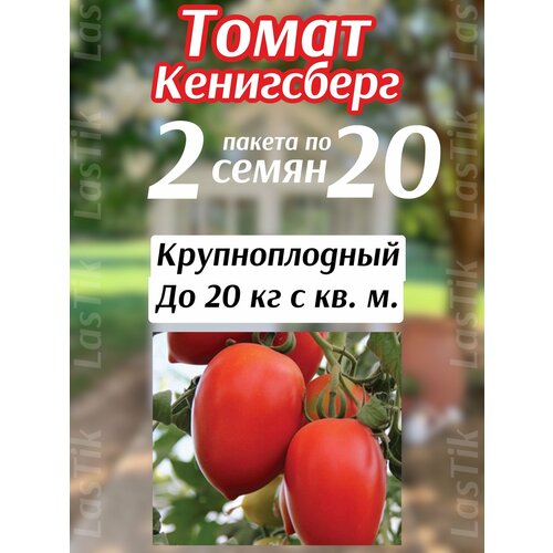 ���� ����� ���������� 2 ������ �� 20�� �����