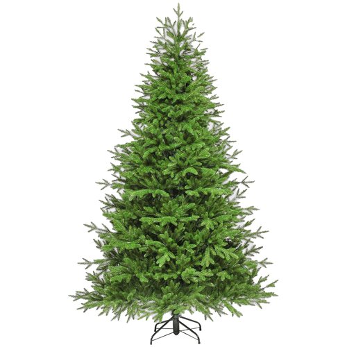 ���� ��� ������������� ���� ���� �����, 240 ��