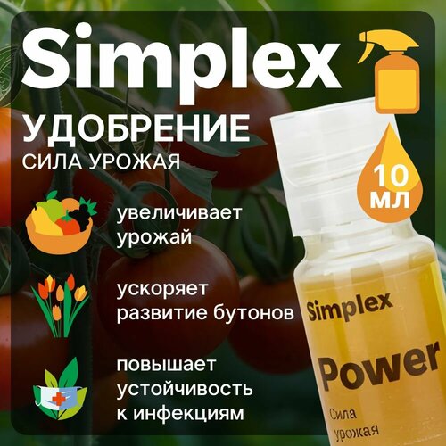    Simplex Power 10 .  -     , -  