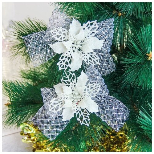 ���� ��������� ������� 