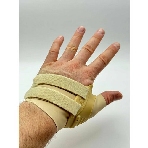 ���� ����� �� ������� ����� ����, �����