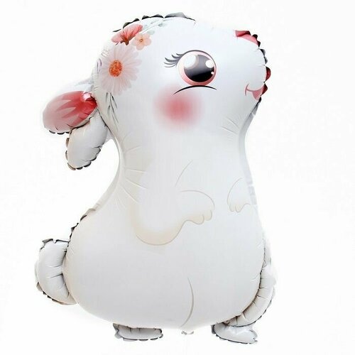 ���� ��� �������������� 24