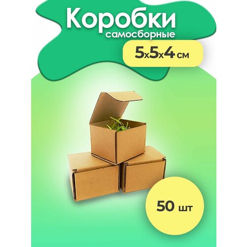 ���� ������� ��� �������� ���������