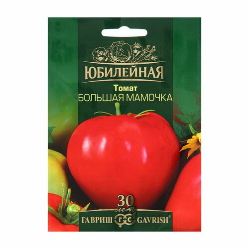 ���� ������ ����� 