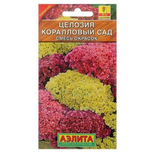 ���� ������ ������ ������� ����������� 