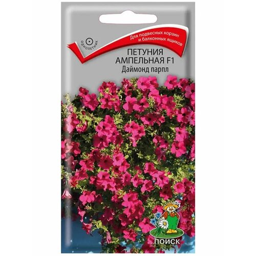 ���� ������ ������� ����� ��������� ������� ����� F1 5 ��