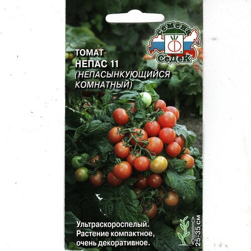 ���� ����� ����� 11, ���������, ���������������, ����������������� ( 1 ��: 0,1 � )