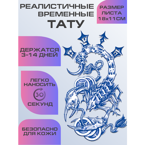 ���� ���� ���������� ��������������, ��������� ����