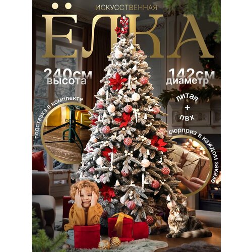 ���� ������������� ���� 240 �� ����������� ����� + ���