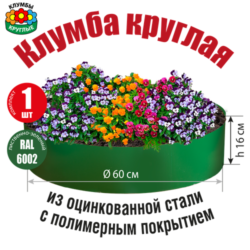 ���� ������ ������� ������� �� ������������ ����� � ���������� ���������