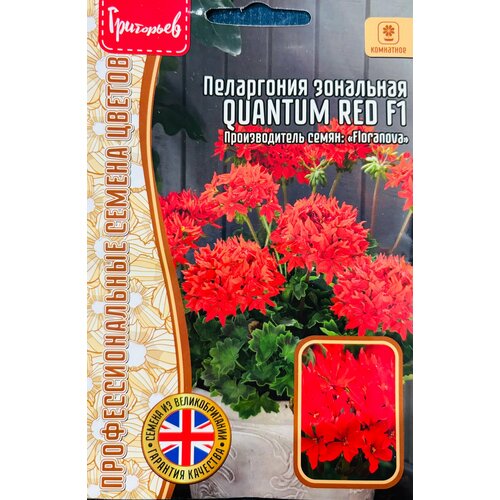 ���� ������ ���������� ��������� 