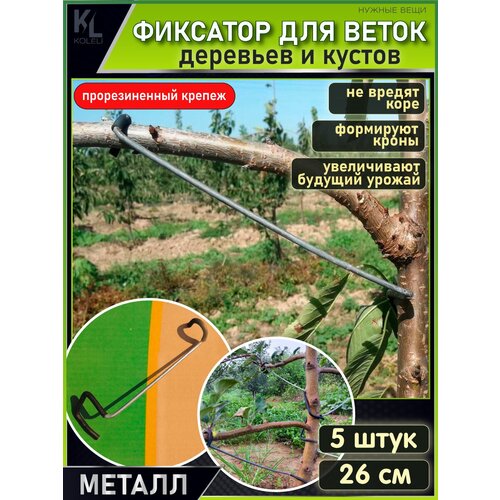 ���� KoLeli / �������� ��� �����, �������� ��� ��������, ������������� ���������, �������������, 5 ��/26 ��