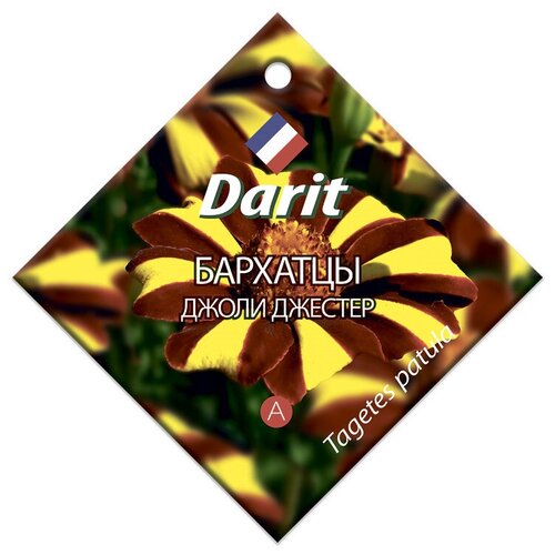    Darit 