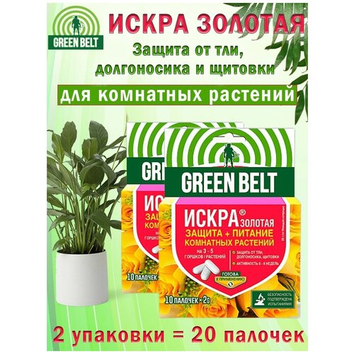 ���� ����� ������� �������, ��������� ��� ��������� ��������, 2 ��������