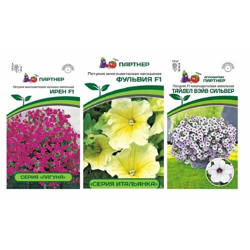 ���� ����� ����� ������� 