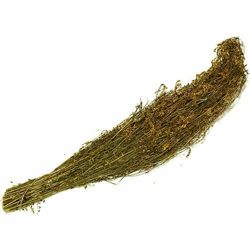 ���� ����� �������� ���� �����, �� �������, ��� ����, ������ 2024