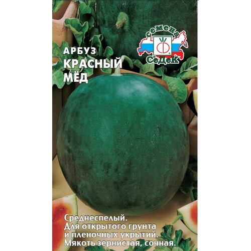 ���� ����� ������� ̨�, ������ ����� ( 1 ��: 1 � )