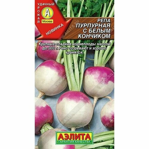 ���� ������ ���� ��������� � ����� �������� (�����������) (������) 1�