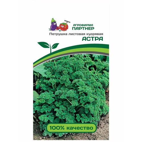 ���� ������ �������� �������� �������� ������� ����� 3 ��