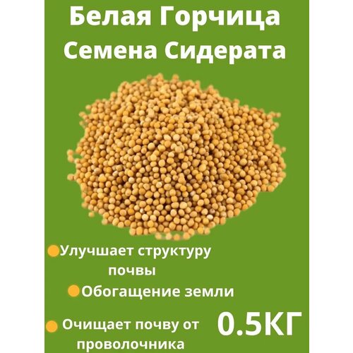 ���� ������� ������ ������� 0.5 ��