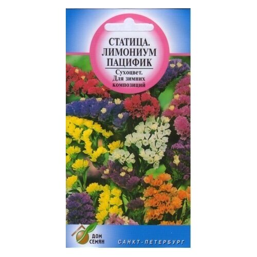 ���� ������� �������� �������, 30 �����