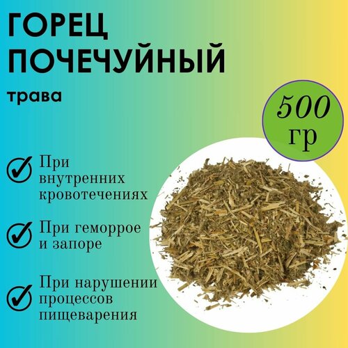 ���� ����� ���������� ����-�������� - ����� �� ��������, ������� ������� 500�