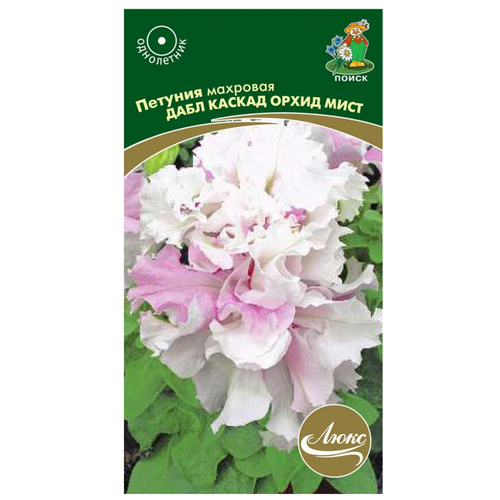 ���� ������ ������� �������� ���� ������ ����� ���� ����� 10 ��