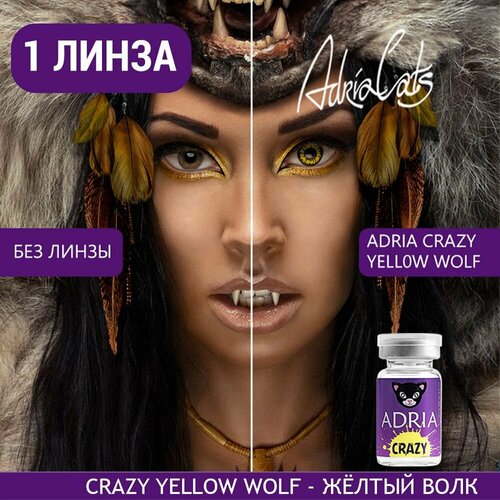     ADRIA Crazy, 1 ., R 8,6, D 0, ADD: , yellow wolf, 1 .  -     , -  