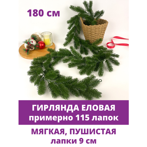 ���� ������ �������� (�������� 120 �����), ���������, ���������� ���������, ����� 180 ��.