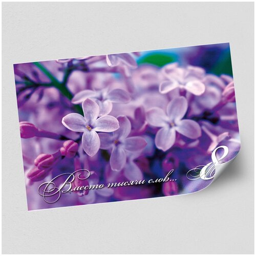 ���� ����������/������ �������������� �� 8 ����� / �-3 (42x30 ��.)