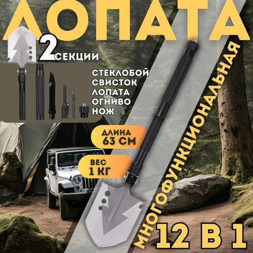 ���� ������ 