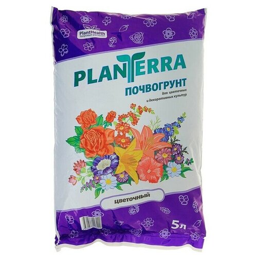         PlanTerra , 5   -     , -,   