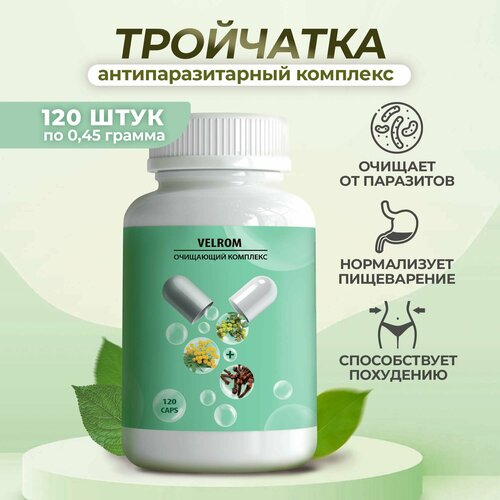 ���� ���������������� ���� ���� ���������. �������� ������ 120 ������