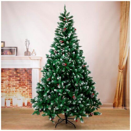 ���� ��� �����. 