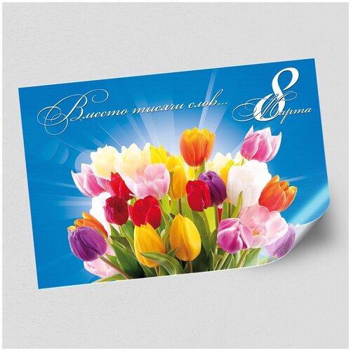 ���� ����������/������ �������������� �� 8 �����, ������ �-3 (42x30 ��.)