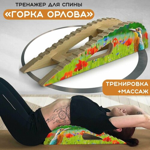 ���� ��������-�������� ��� ����� 