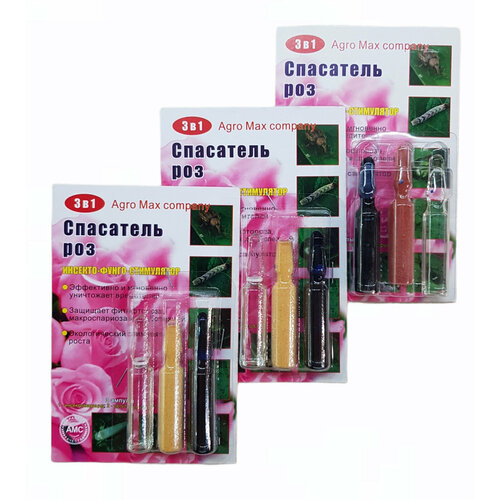 ���� ��������� ���, �������-�����-����������, ����� 3 � 1, ��� �������� � ������ ���