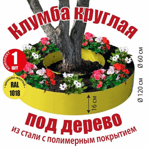 ���� ������ ������� ��� ������ ��� ������ ������������ �������