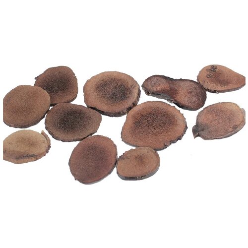 ���� ������� ������� ��������� ������ ������ ������, 30 �