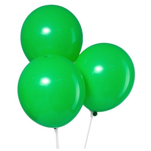 ���� ����� ��������� ����� Leti �������, 12