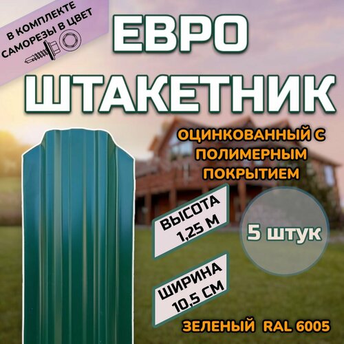 ���� ��������� ������������� �������� (������, ����������) 5 ����.(������ � ���������)������������� �����, ���� RAL 6005 �������, ������ 1.25�, ������ ������ 105��)�����