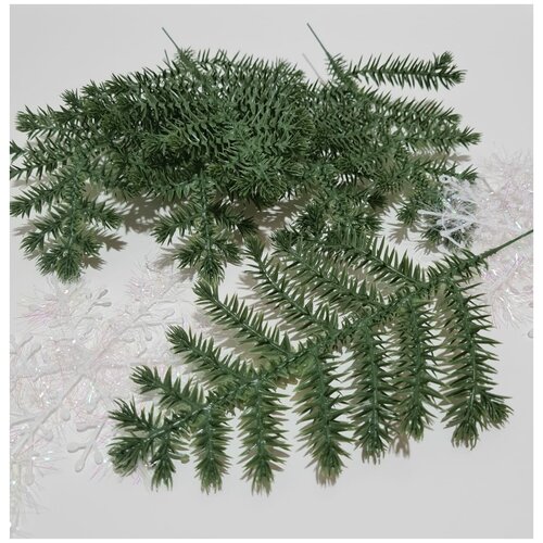 ���� ����� ������.