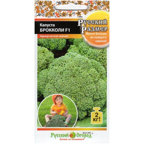 ���� ������� �������� F1 ������� ������ 30�� ����� (1 �����)