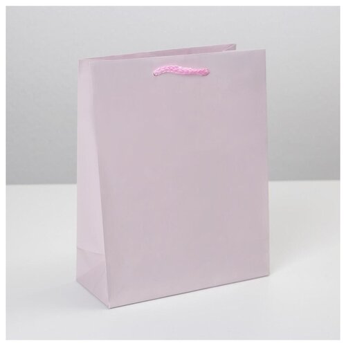 ���� ����� �������������� ��������, MS 18 � 23 � 8 ��