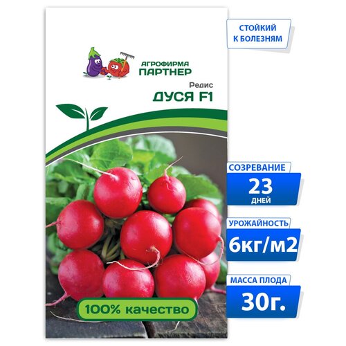 ���� ������ ����� ���� F1 / ��������� �������/