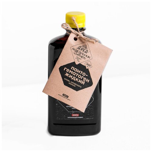 ���� �������������� ������ ��������� ������, 500 ��